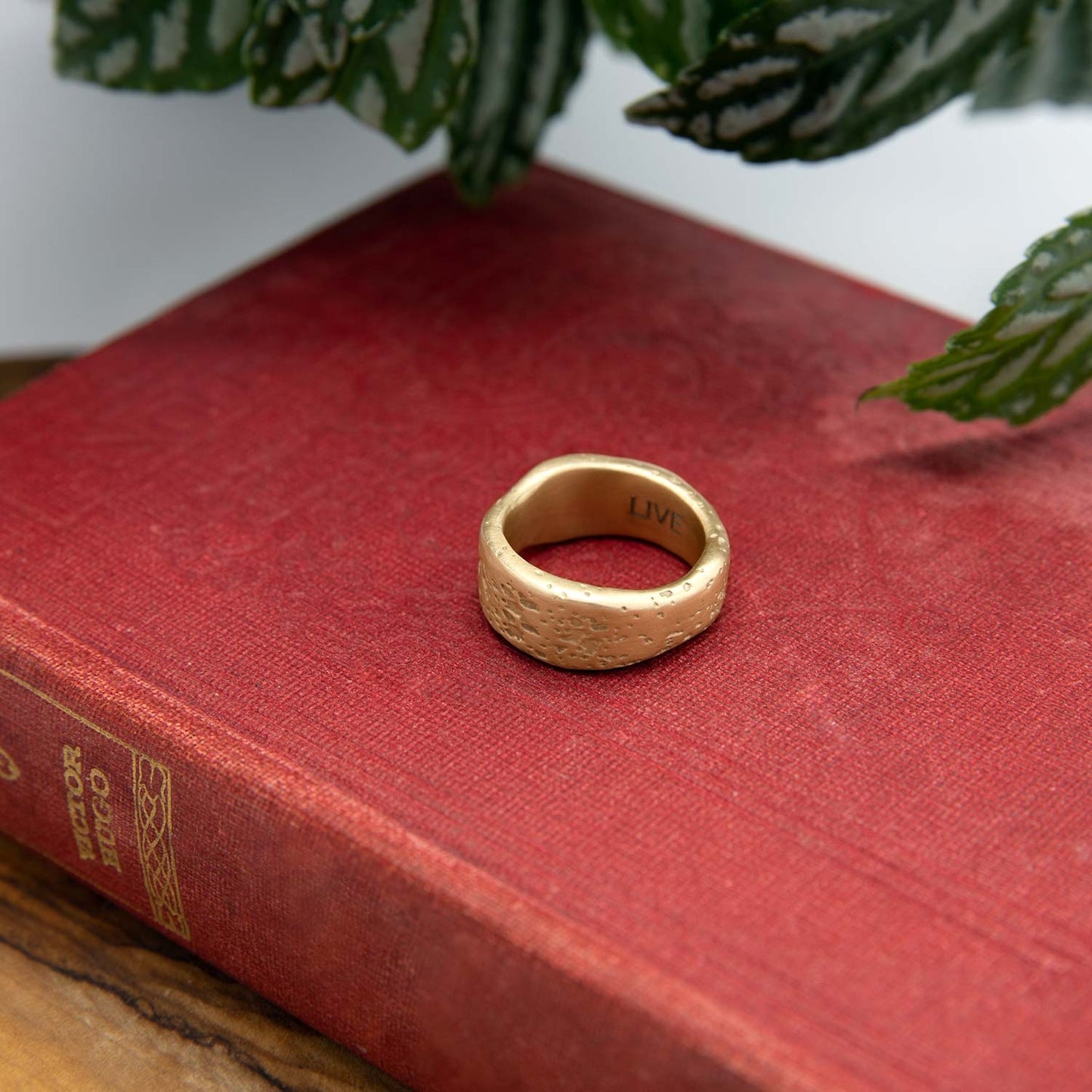 Withstand Ring (14K Solid Gold)