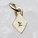 Wild About You Diamond Charm (9K Solid Gold)