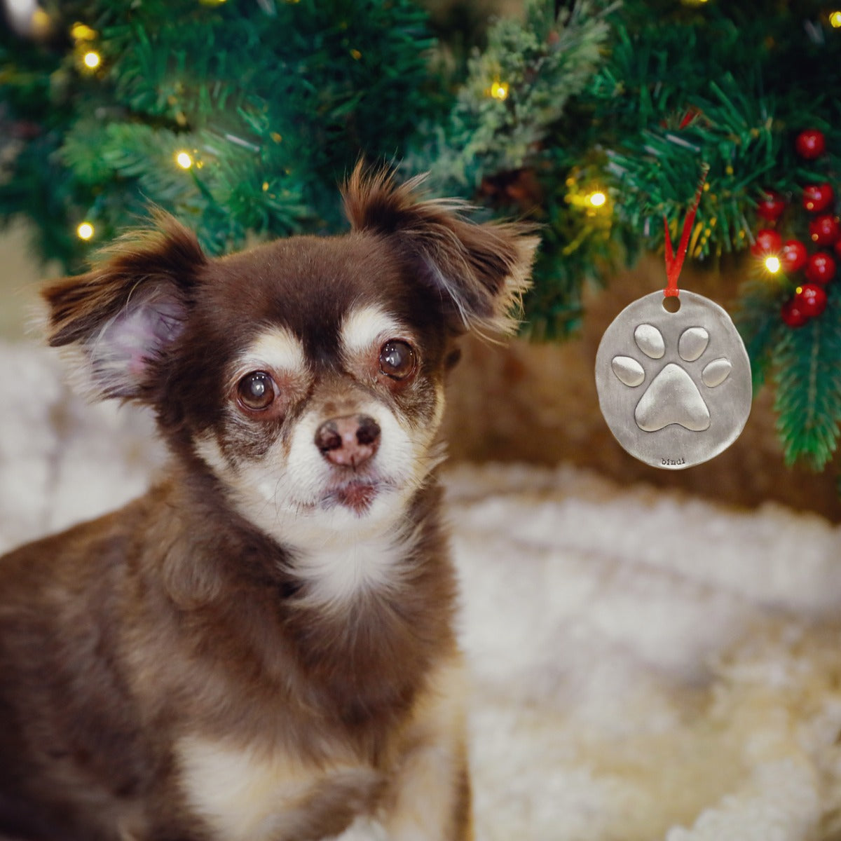 Furry Footprint Ornament (Pewter)