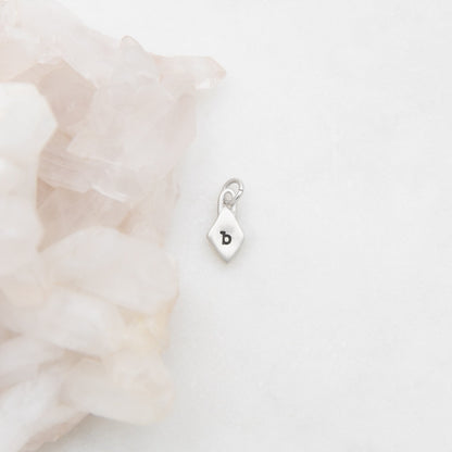 Wild About You Diamond Charm (Sterling Silver)